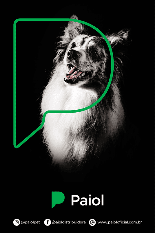 Imagem Promocional Dog